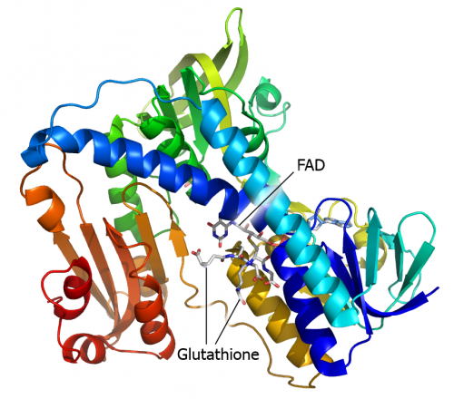 Glutathione เคล็ดลับสุขภาพและการฉีดผิวขาว